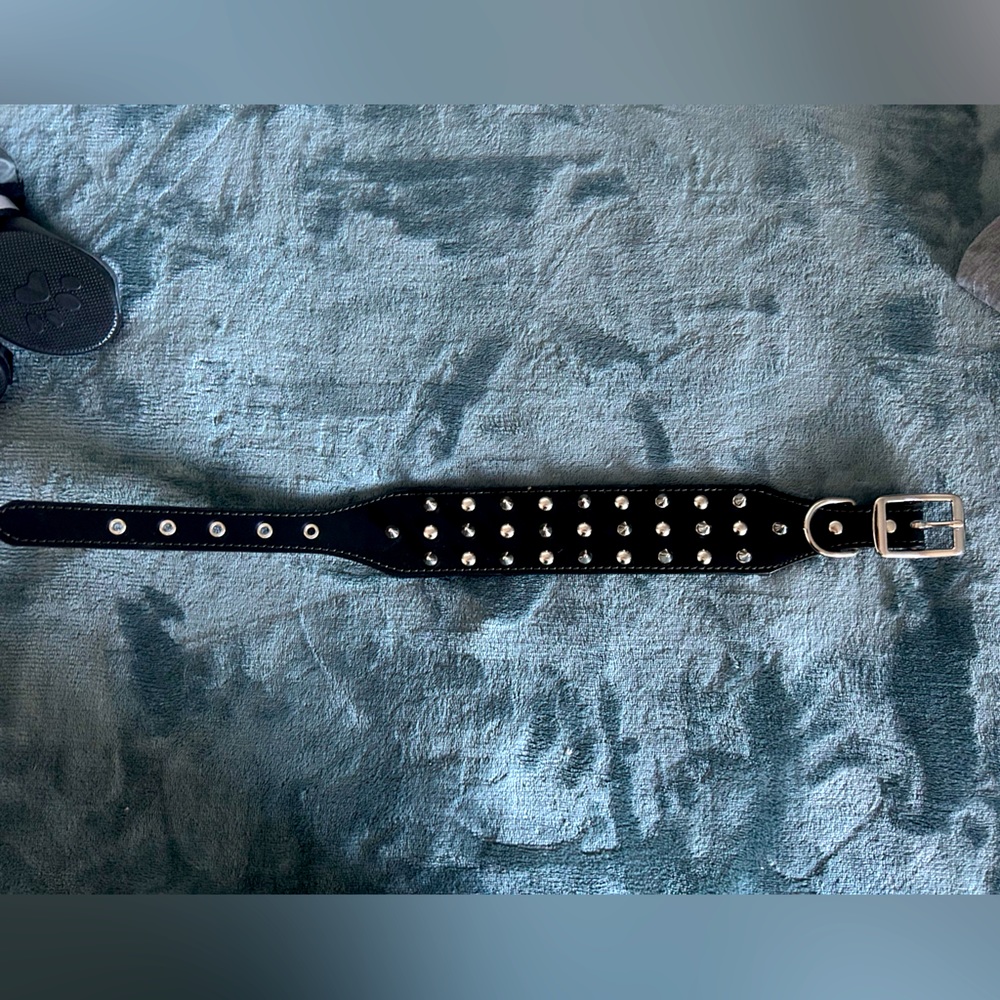 NWOT medium spike dog collar